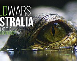 狂野澳洲 第四季